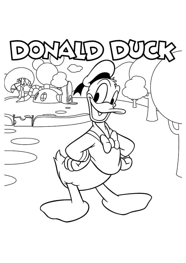 Tranh to màu Donald Duck, Vịt donald