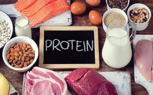 thực phẩm protein 